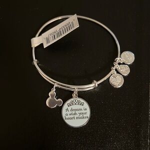 Alex and Ani Disney bracelet